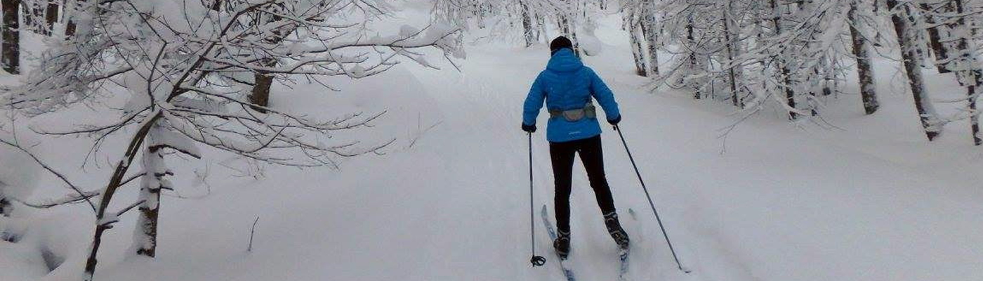 Cours de ski de fond avec entraîneurs certifiés pour adultes